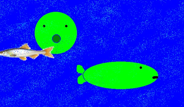 Jakie będzie twoje 2 imie?