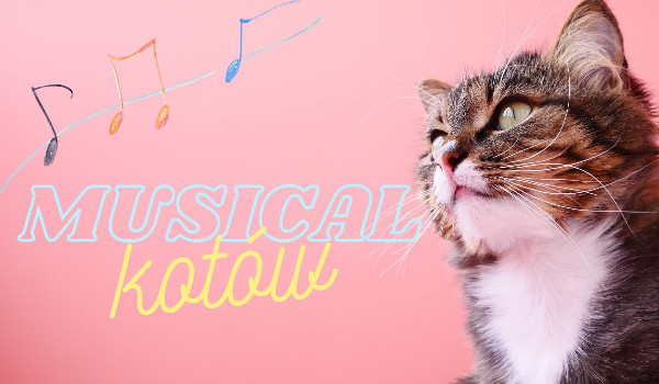 Musical kotów cz. 12