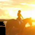 Horses_Are_Our_Life