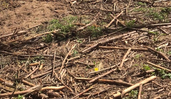 angielski zawodowy quizz