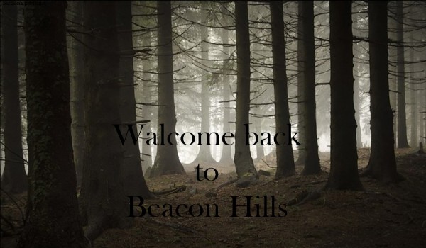 Walcome back to Beacon Hills – Chapter One