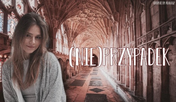 (Nie)Przypadek – część 2