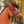 Ariel_SSO