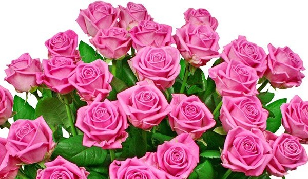 Czy ex do ciebie wróci?