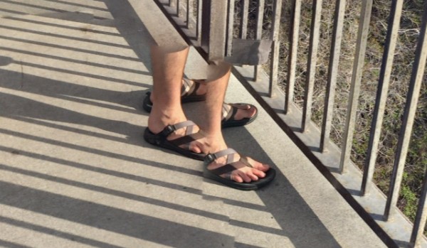 jak dobrze znasz ez’a