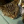 kuba_plus