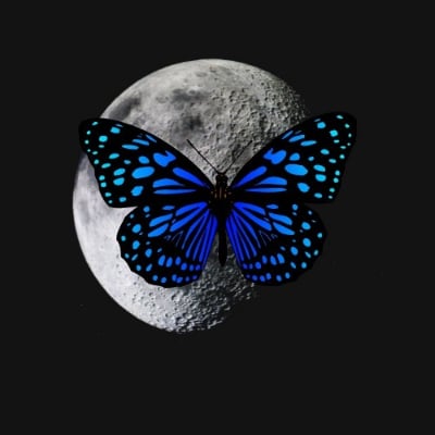_Koniara_K