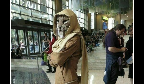 Wielki quiz o skyrim