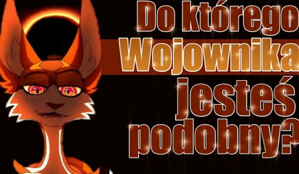Do którego wojownika jesteś podobny?