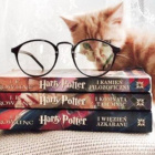 Potter-cat