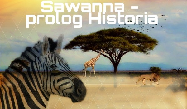 Sawanna – prolog Historia