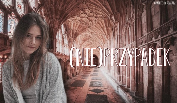 (Nie)Przypadek – część 3