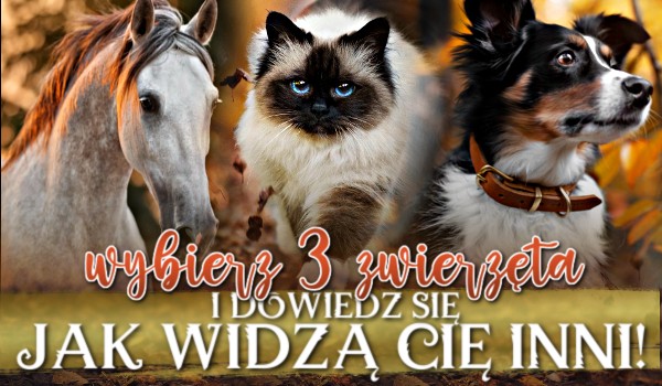 Wybierz 3 zwierzęta i dowiedz się, jak widzą Cię inni!
