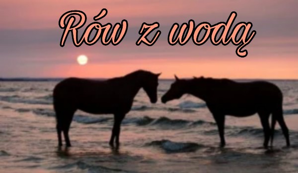 Rów z wodą – Rozdział VI