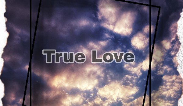 True Love – Aizawa x Y/N / Bnha