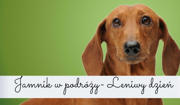 Jamnik w podróży- Leniwy dzień