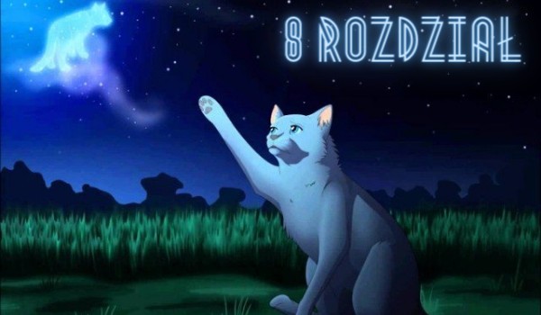 Wojownicy ~ Nowa historia