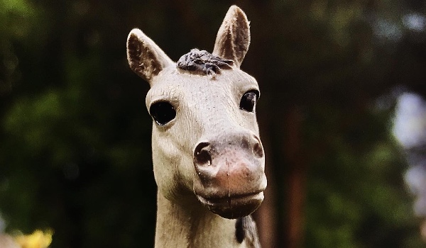 Q&A 2 – odpowiedzi!