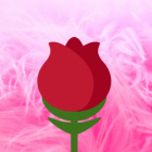 GraphicShop_CudownaRoza