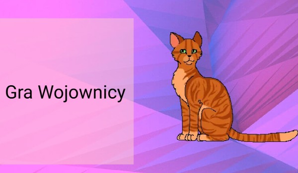 Gra Wojownicy !