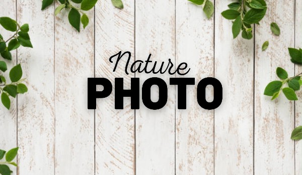 Photo Store|Nature  (zdjęcia z naturą)