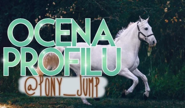 Ocena profilu Pony_Jump!