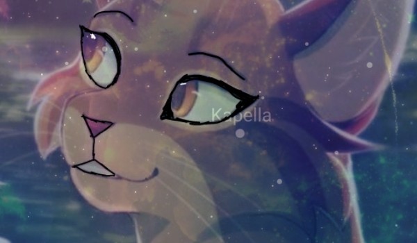 Konkurs o wojownikach #4