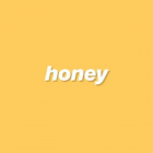 honey_bear