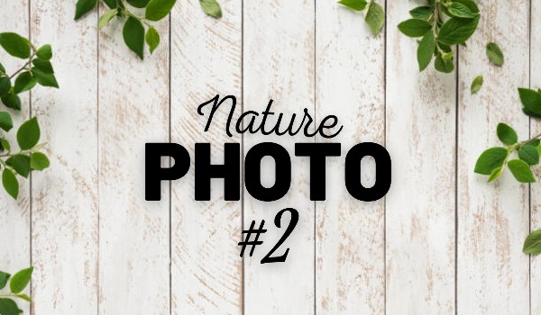 Photo Store|Natura  (zdjęcia z naturą) #2