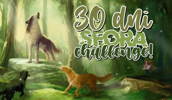 30 dni sfora challenge! Day 4/30