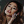 arianators_x_ari