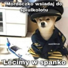 Wolf-Tera