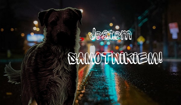 Jestem samotnikiem ~ #2 [przybysze]