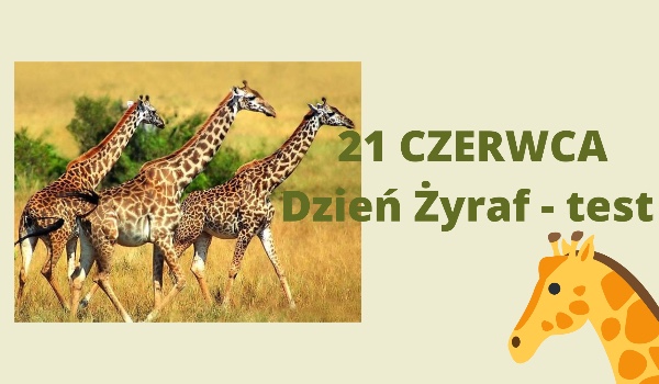 21 CZERWCA Dzień Żyraf – test