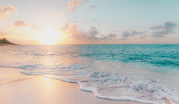 minecraft jesteś noob czy pro?