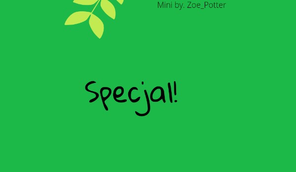 Wywiad z @Ravenclaw_z_Miraculum / specjal!