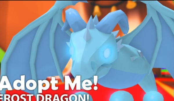 Czy rozpoznasz pety adopt?