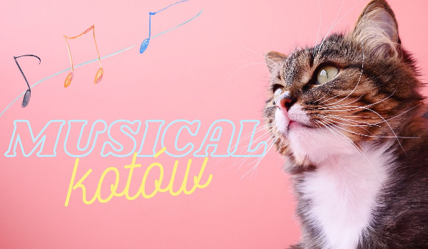 Musical kotów cz.21