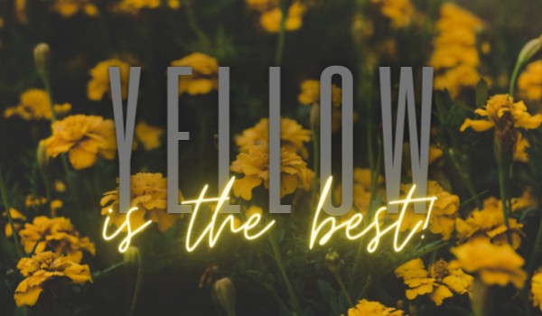 Yellow is the best! – ONE SHOT