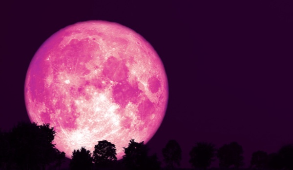 Inna Historia/HP&RL|2