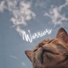 WarriorCatsIsMyLife