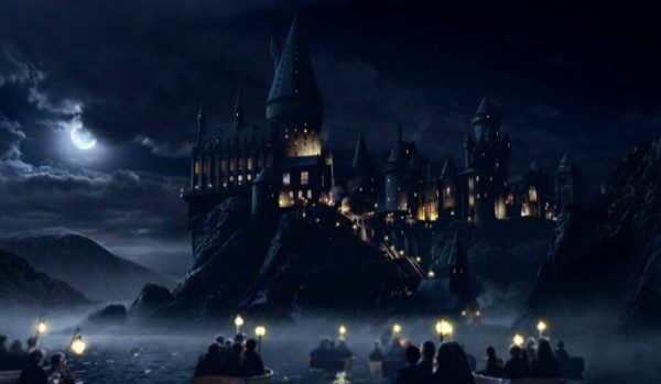 Do którego domu w Hogwarcie należy..? – Harry Potter