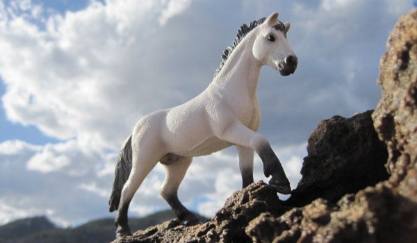 Czy rozpoznasz rasy koni po figurkach firmy Schleich?