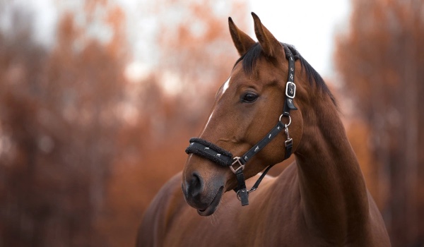 Siódme Niebo – Epilog