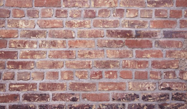 Alfabet z moim bratem