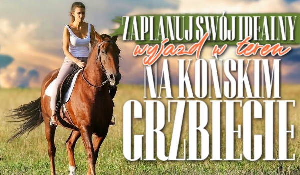 Zaplanuj swój idealny wyjazd w teren na końskim grzbiecie!