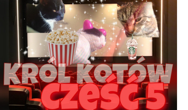 Król Kotów – Cz.5