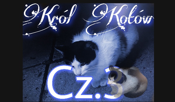 Król Kotów – Cz.3