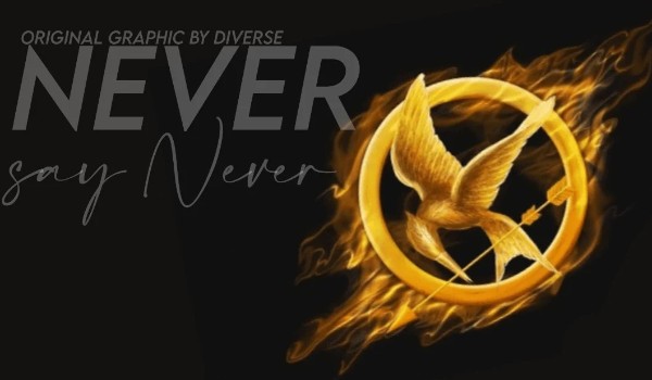 Never say never #rozdział1