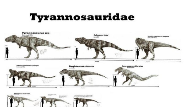 Czy rozpoznasz dinozaury z rodziny Tyranozaurów?